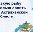 Ограничении промышленного и любительского рыболовства в отношении отдельных видов водных биологических ресурсов в водных объектах волжско-каспийского рыбохозяйственного бассейна в 2026 году - Администрация Камызякского района